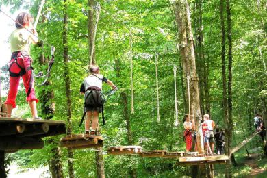 Tree Climbing in the Agre Forest