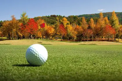 golf 1