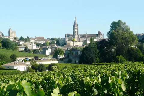 Wine Cruise - Saint Emilion